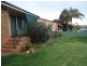 41 Jaeger Avenue, Gunnedah NSW 2380