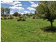 170-172 Stock Rd, Gunnedah NSW 2380