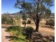 1349 Wandobah Rd, Gunnedah NSW 2380