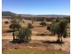1349 Wandobah Rd, Gunnedah NSW 2380