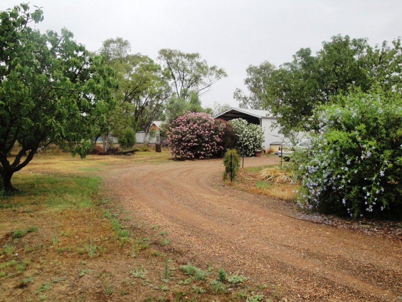 51 Goran Street, Curlewis NSW 2381