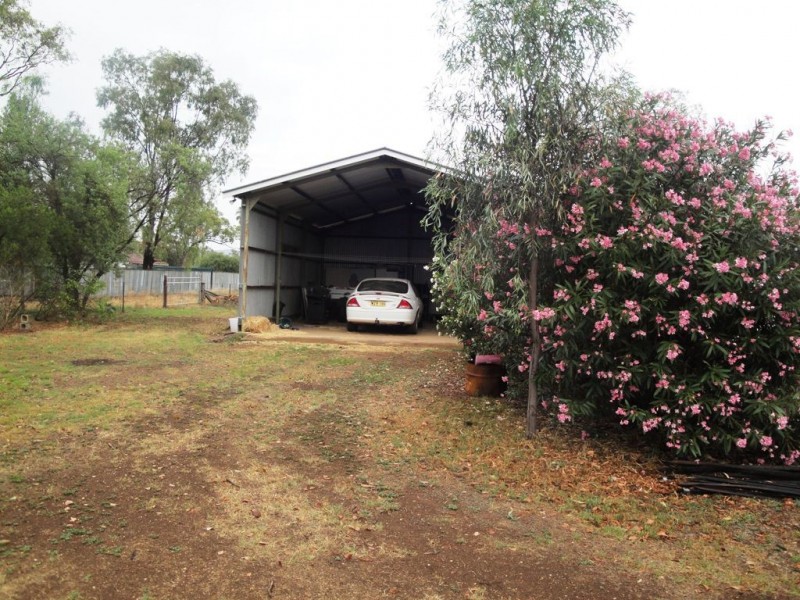 51 Goran Street, Curlewis NSW 2381