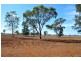 271 Buchannan Road, Emerald Hill NSW 2380