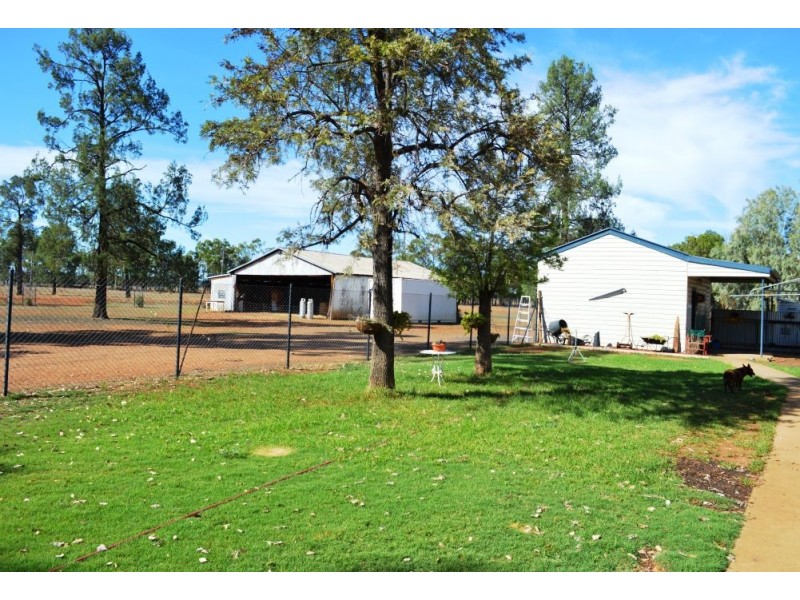 271 Buchannan Road, Emerald Hill NSW 2380