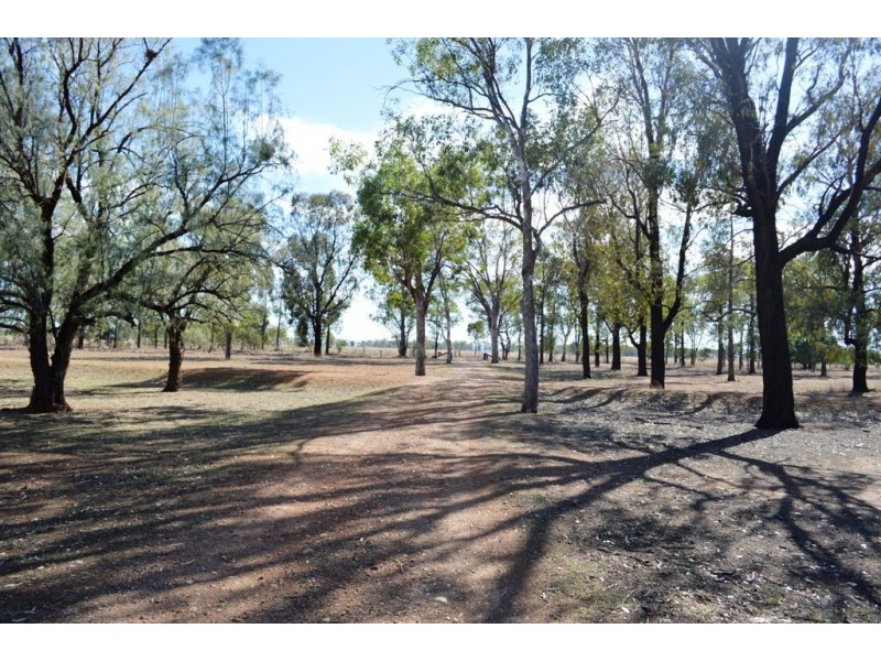 271 Buchannan Road, Emerald Hill NSW 2380