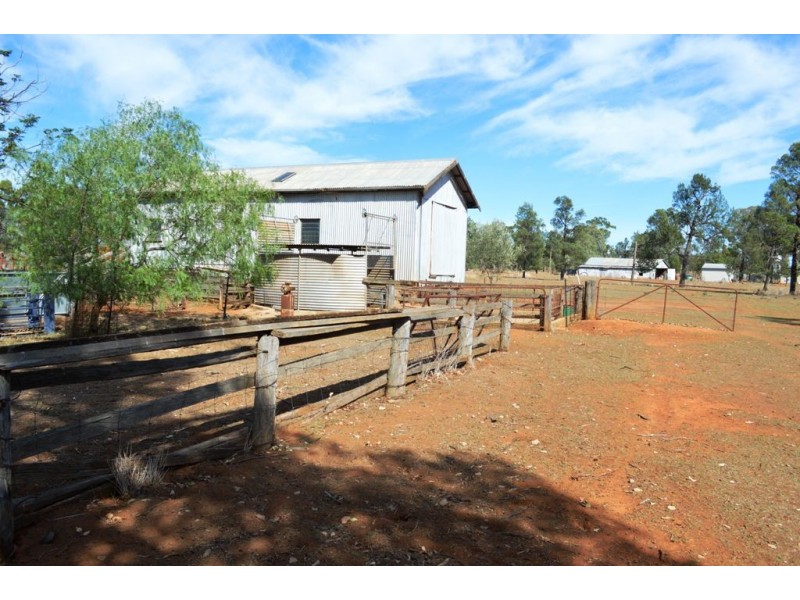 271 Buchannan Road, Emerald Hill NSW 2380