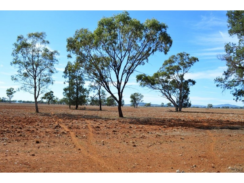 271 Buchannan Road, Emerald Hill NSW 2380