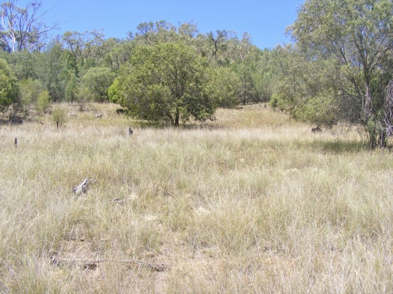 1349 Wandobah Rd, Gunnedah NSW 2380