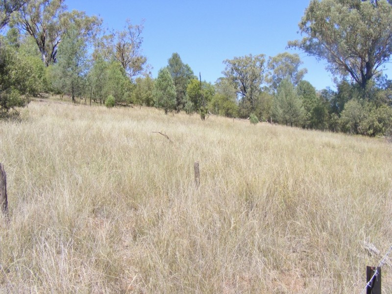1349 Wandobah Rd, Gunnedah NSW 2380