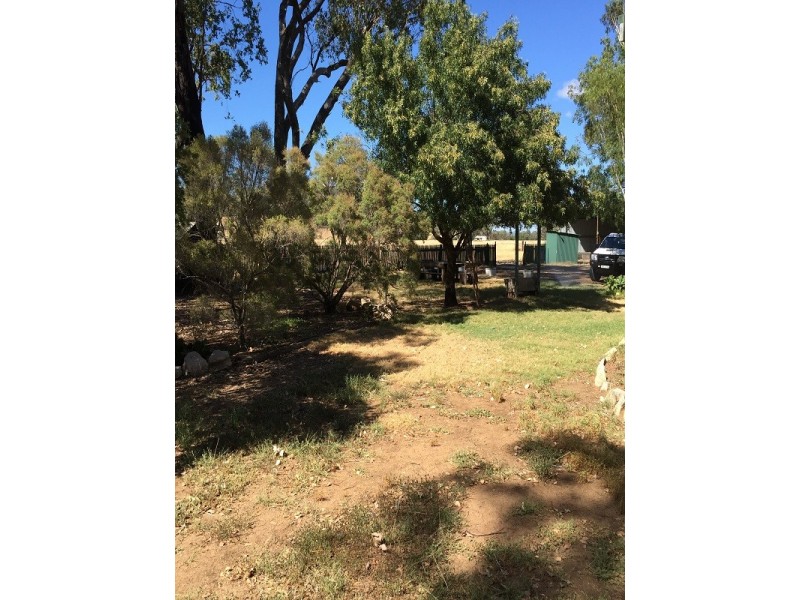 1609 Kelvin Rd, Kelvin NSW 2380