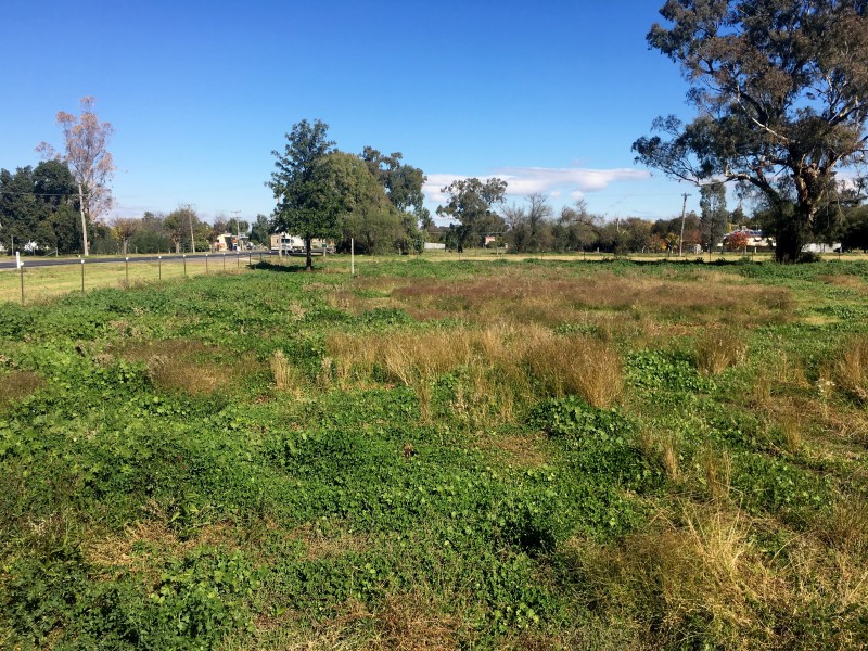 88-99 Breeza St, Carroll NSW 2340