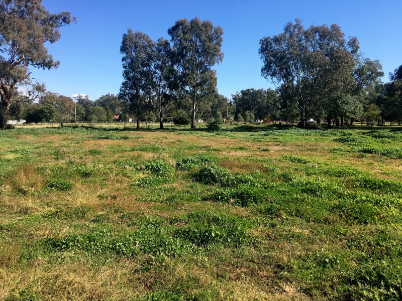 88-99 Breeza St, Carroll NSW 2340