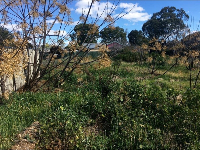 22 Pullaming St, Curlewis NSW 2381