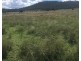 229 Digby Lane, Curlewis NSW 2381