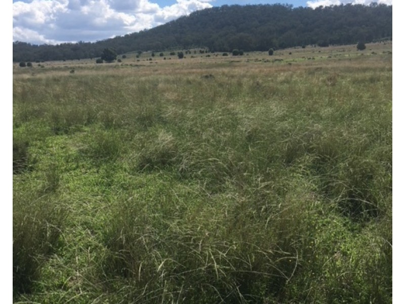 229 Digby Lane, Curlewis NSW 2381