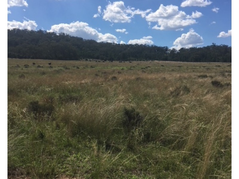 229 Digby Lane, Curlewis NSW 2381