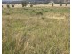 229 Digby Lane, Curlewis NSW 2381