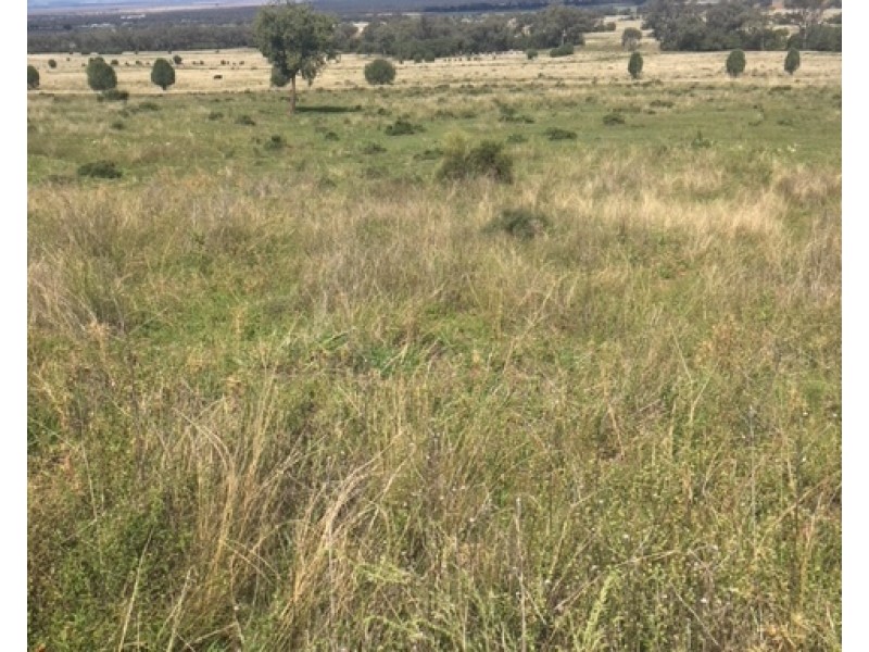 229 Digby Lane, Curlewis NSW 2381