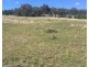 229 Digby Lane, Curlewis NSW 2381