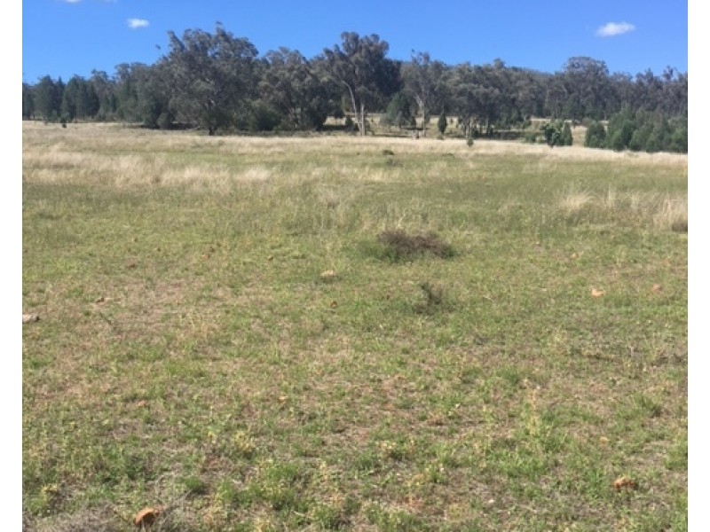 229 Digby Lane, Curlewis NSW 2381