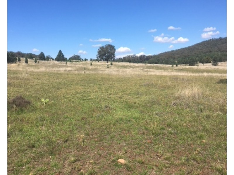 229 Digby Lane, Curlewis NSW 2381