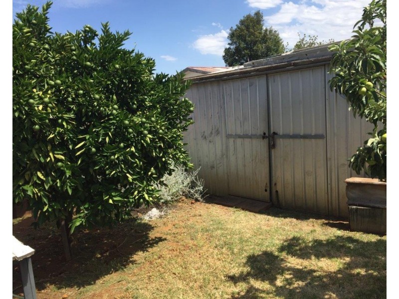 19 Hopedale Ave, Gunnedah NSW 2380