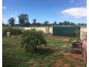 7 Galway Ave, Gunnedah NSW 2380