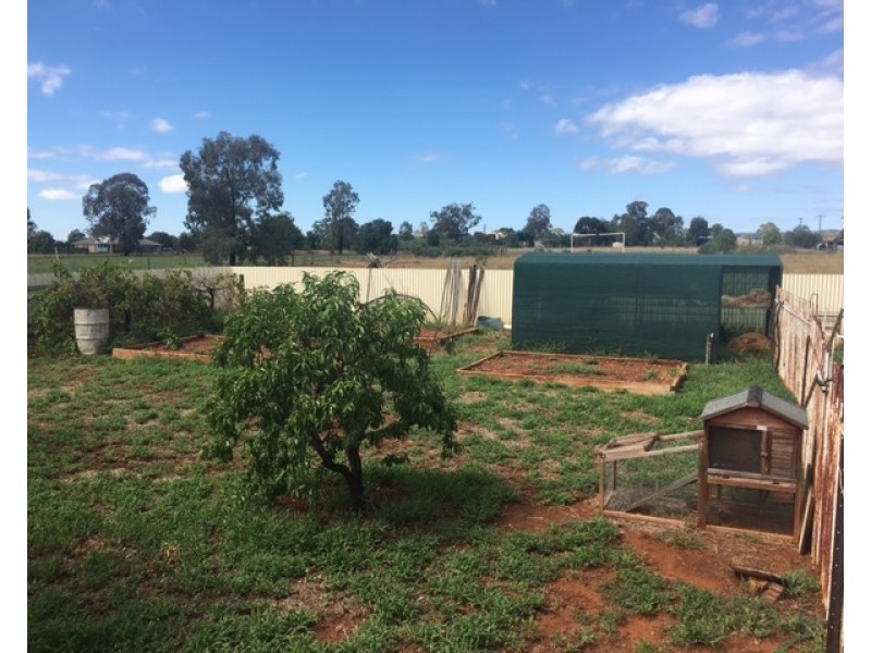 7 Galway Ave, Gunnedah NSW 2380