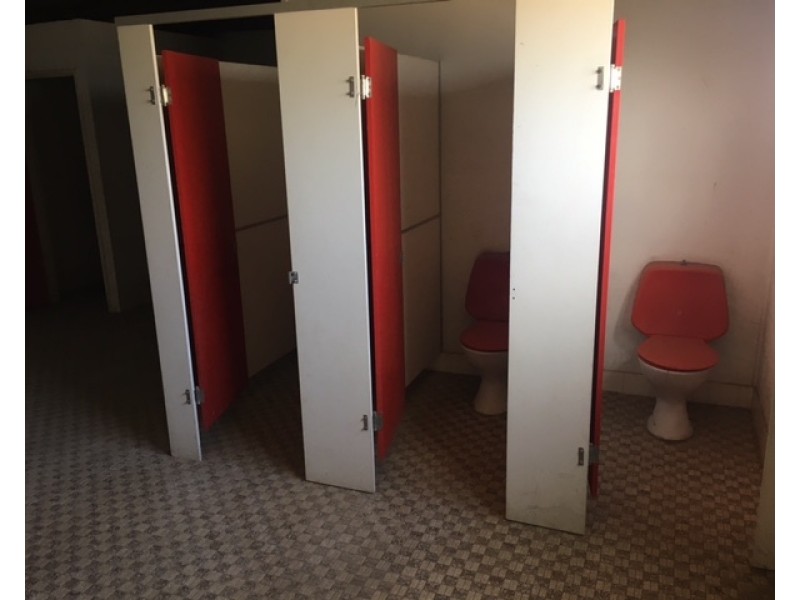 15 Warrabungle St, Gunnedah NSW 2380