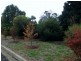 4-6 Sanders Pl, Gunnedah NSW 2380