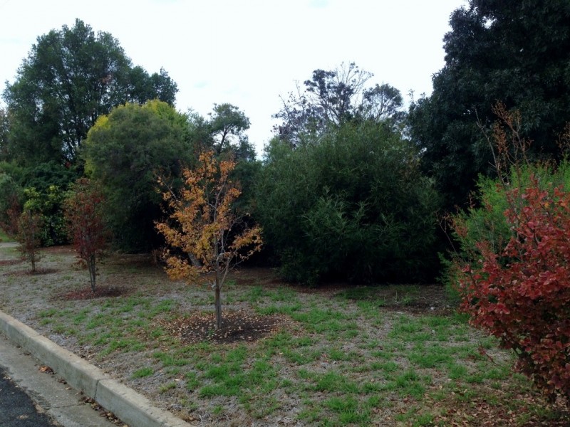 4-6 Sanders Pl, Gunnedah NSW 2380