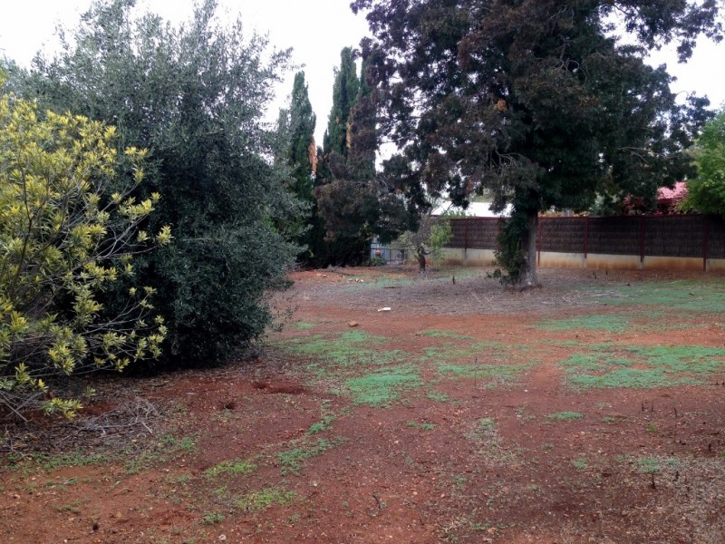 4-6 Sanders Pl, Gunnedah NSW 2380