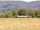 2931 Kelvin Rd, Kelvin NSW 2380
