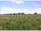 2931 Kelvin Rd, Kelvin NSW 2380