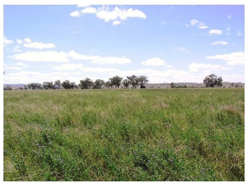 2931 Kelvin Rd, Kelvin NSW 2380