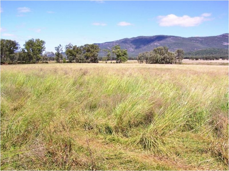 2931 Kelvin Rd, Kelvin NSW 2380