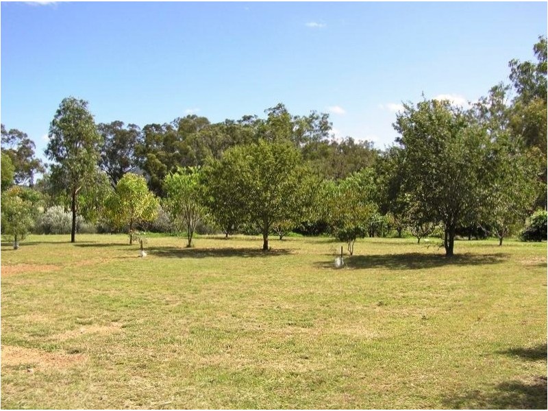 2931 Kelvin Rd, Kelvin NSW 2380