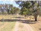 2931 Kelvin Rd, Kelvin NSW 2380