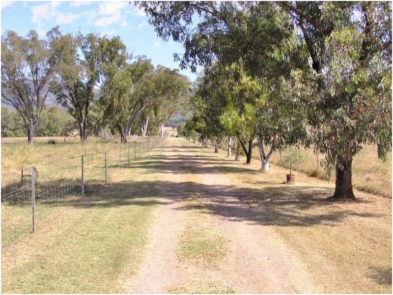 2931 Kelvin Rd, Kelvin NSW 2380