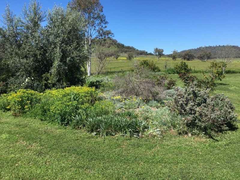 50 Wyuna Road “mt Mitchell”, Mullaley NSW 2379