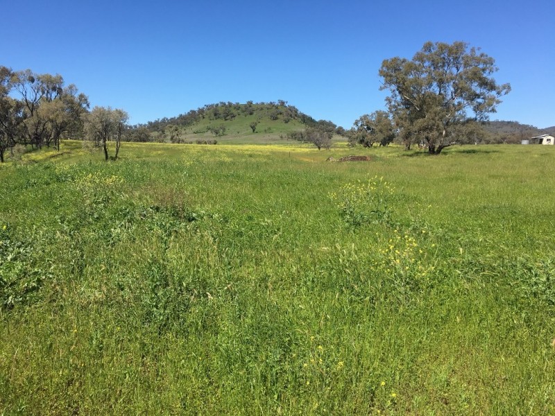 50 Wyuna Road “mt Mitchell”, Mullaley NSW 2379