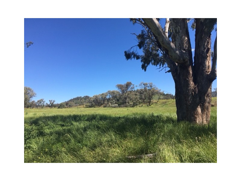 50 Wyuna Road “mt Mitchell”, Mullaley NSW 2379