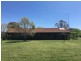 50 Wyuna Road “mt Mitchell”, Mullaley NSW 2379
