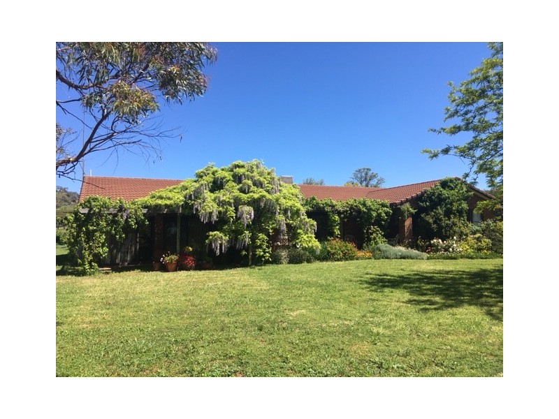 50 Wyuna Road “mt Mitchell”, Mullaley NSW 2379