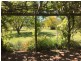 50 Wyuna Road “mt Mitchell”, Mullaley NSW 2379