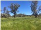 50 Wyuna Road “mt Mitchell”, Mullaley NSW 2379