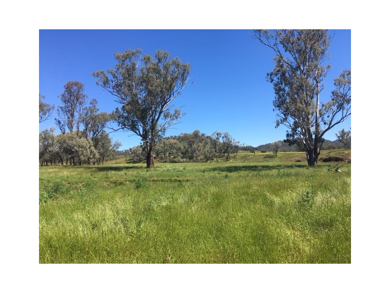 50 Wyuna Road “mt Mitchell”, Mullaley NSW 2379