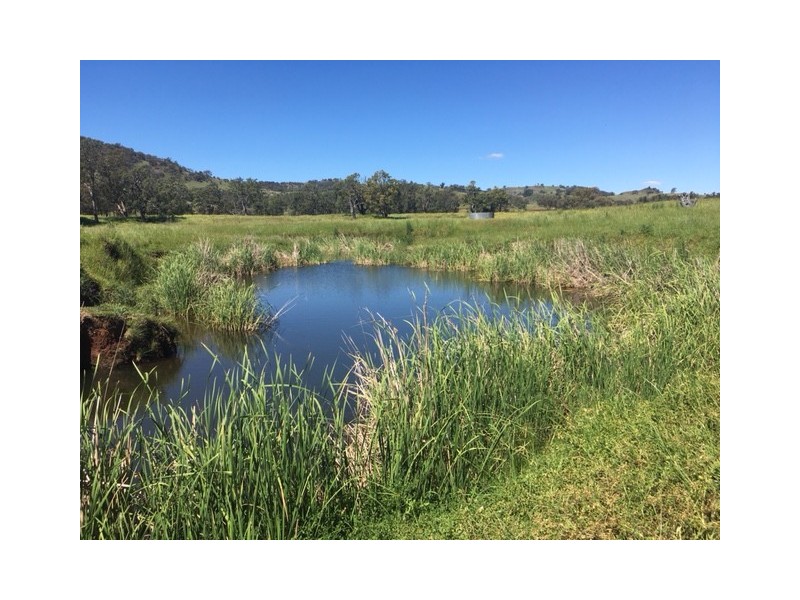 50 Wyuna Road “mt Mitchell”, Mullaley NSW 2379