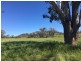 50 Wyuna Road “mt Mitchell”, Mullaley NSW 2379
