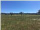 50 Wyuna Road “mt Mitchell”, Mullaley NSW 2379